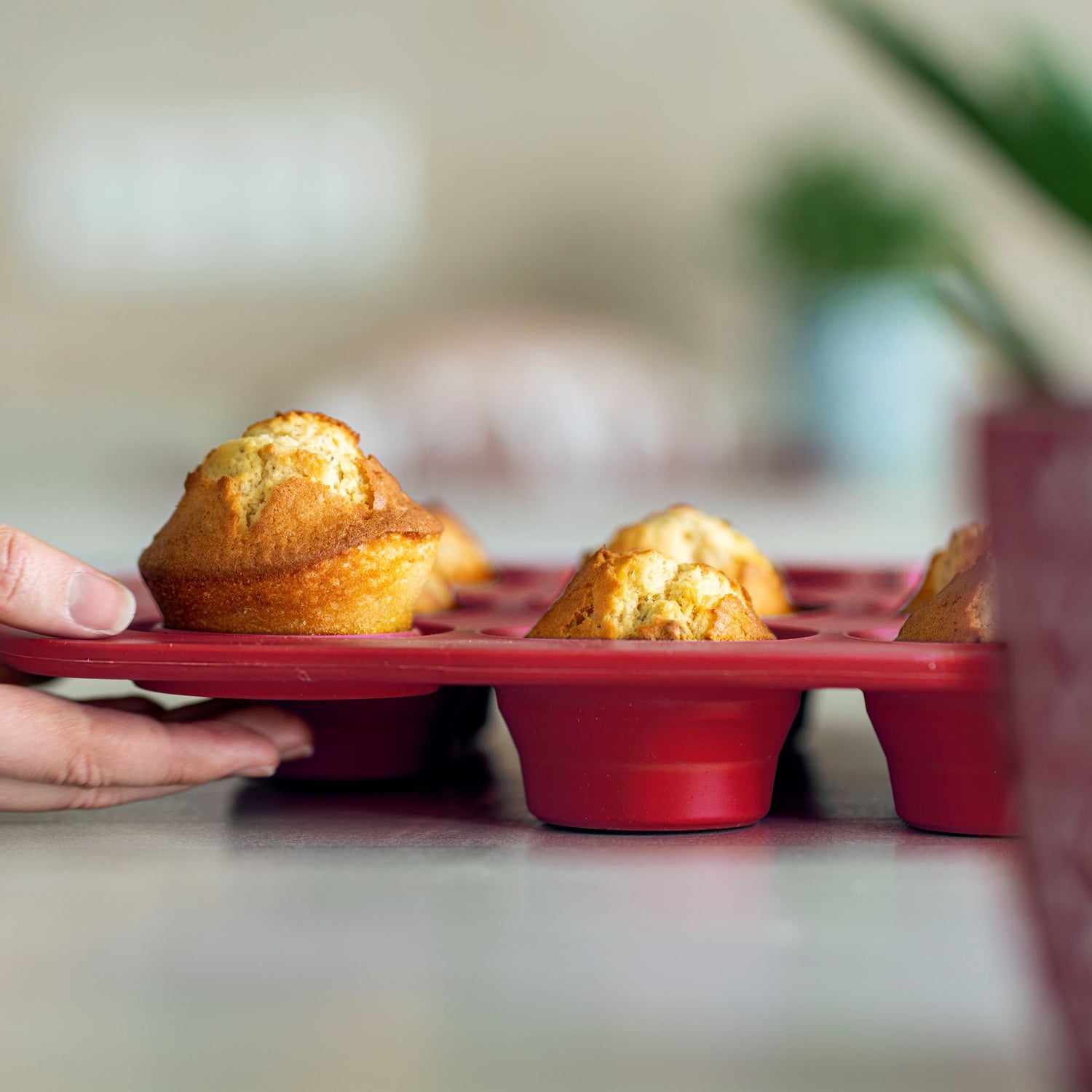 MUFFINSSIVUOKA 12 kuppia silikoni