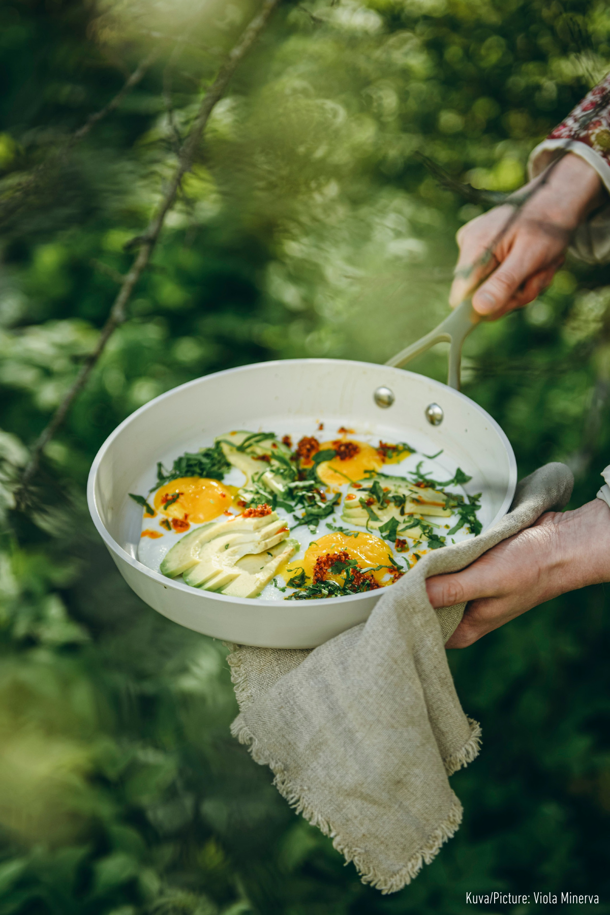 PAISTINPANNU 24 cm Royal Pearl