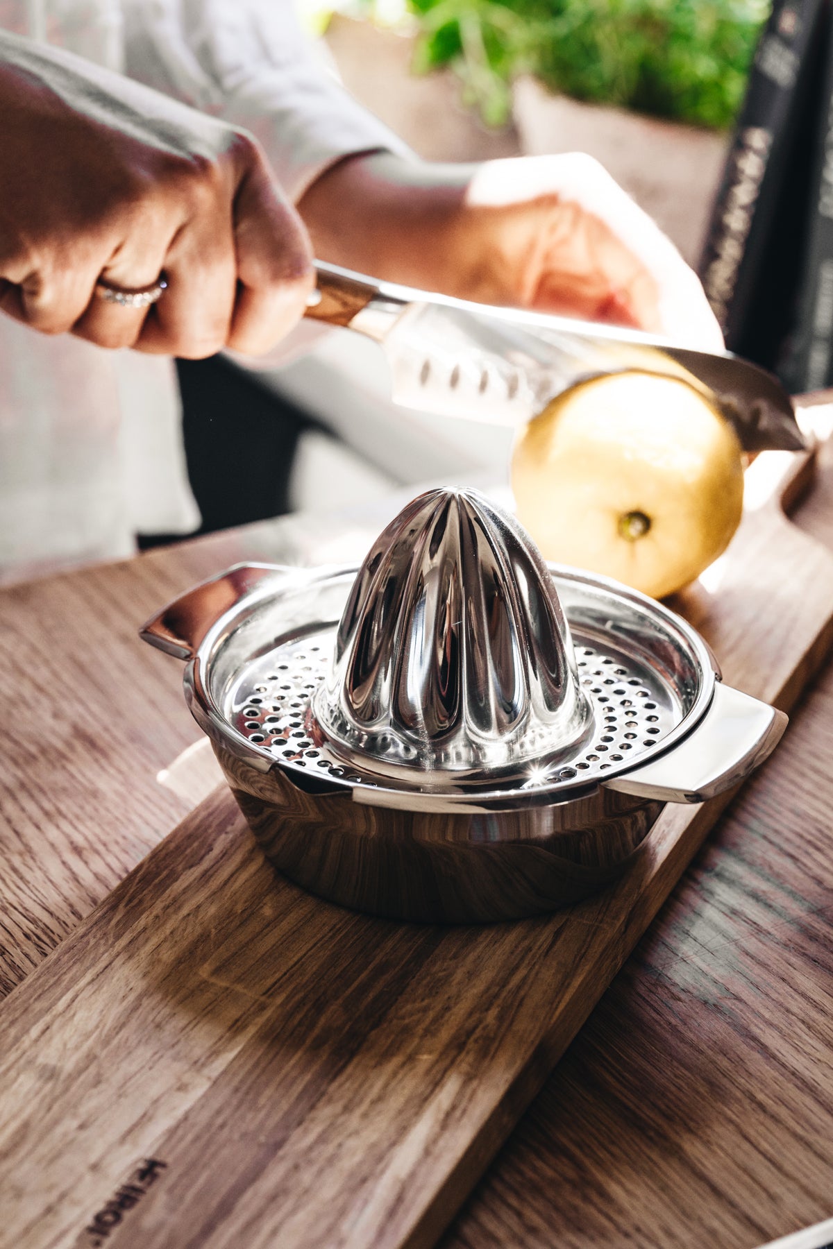 CITRUS JUICER/SQUEEZER 13cm Pro – HEIROL - Main Image